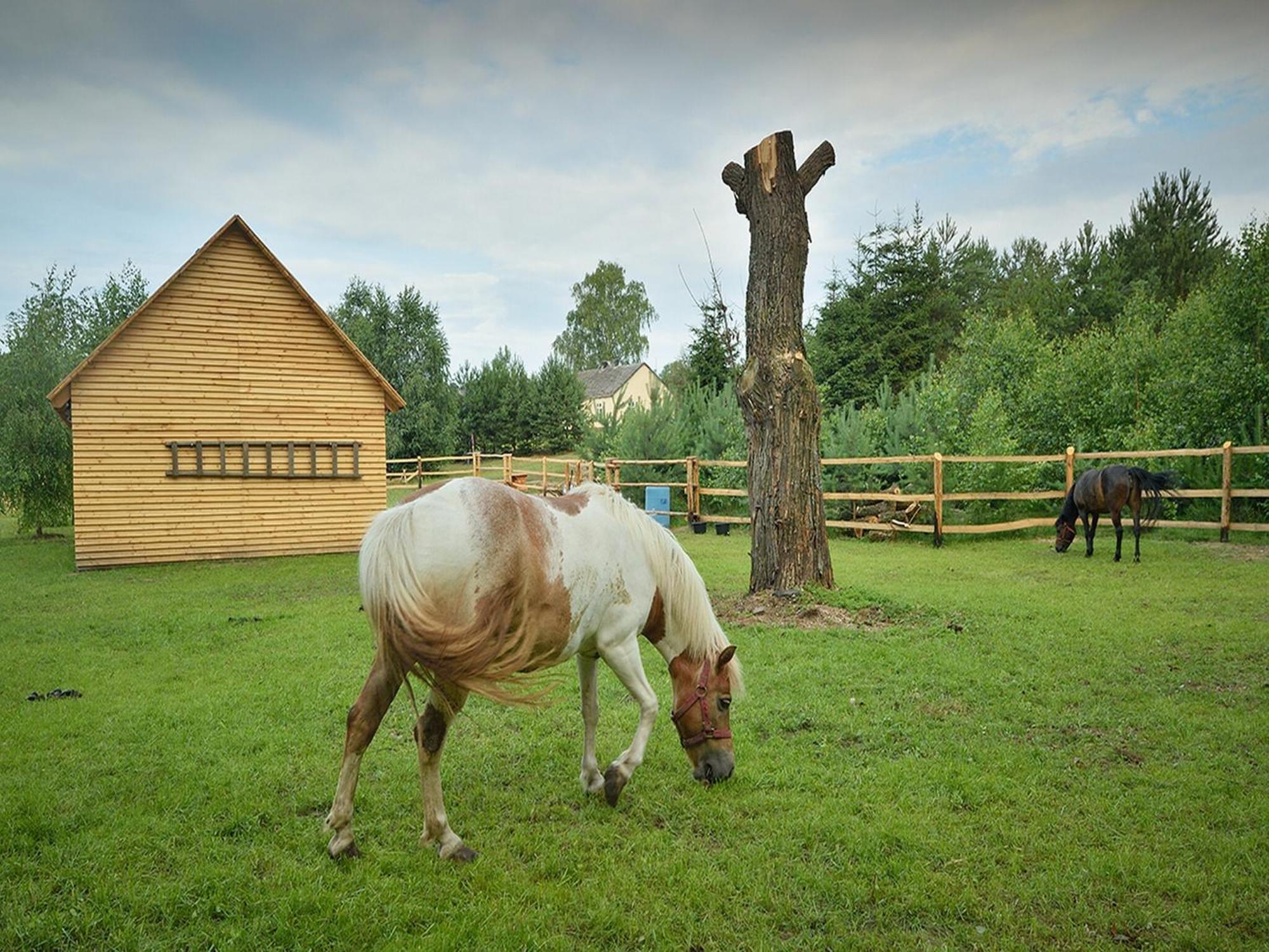 Wooden Holiday Home In Skrzynia With Terrace Osiek (Pomerania) Exterior foto